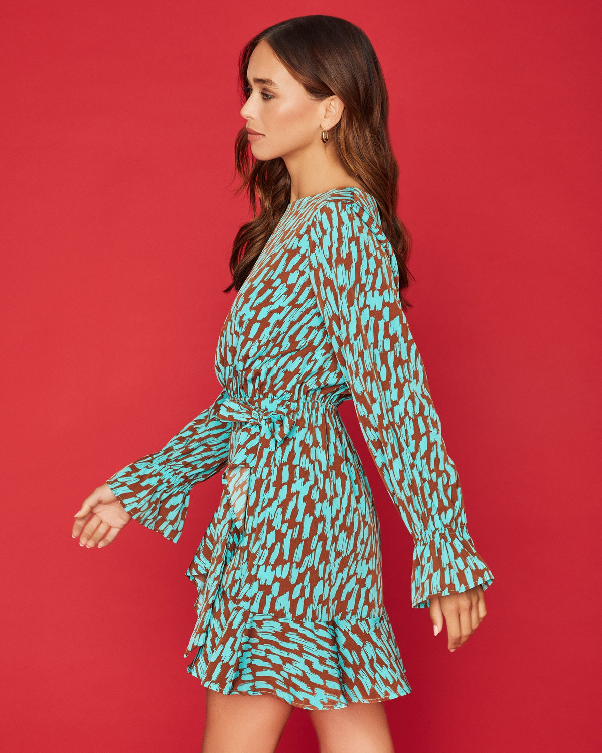 Printed Long Sleeve Ruffle Hem Fit & Flare Mini Dress