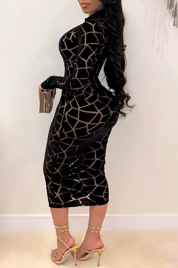 Graphic Printed Mesh Midi Dress Fashionpara