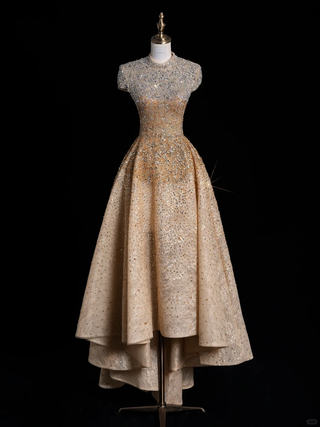 Gorgeous Lace Beaded Hi-Low Party Dress 20th Birthday Outfits D043