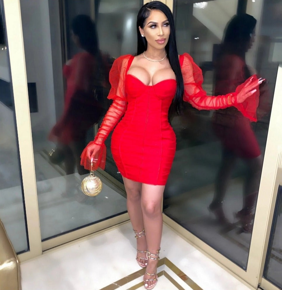 Arletta Sexy Mesh Puff Sleeve Dress