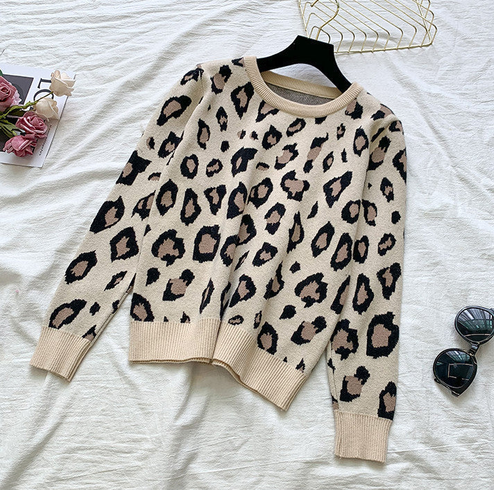 Knit Leopard Pullover Sweater and Elastic Waist Pants Set