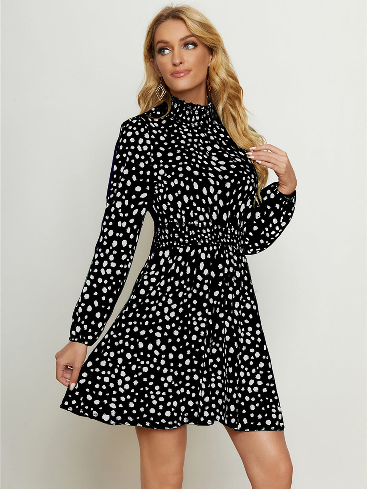 Leopard Print High Neck Long Sleeve A-Line Mini Dress