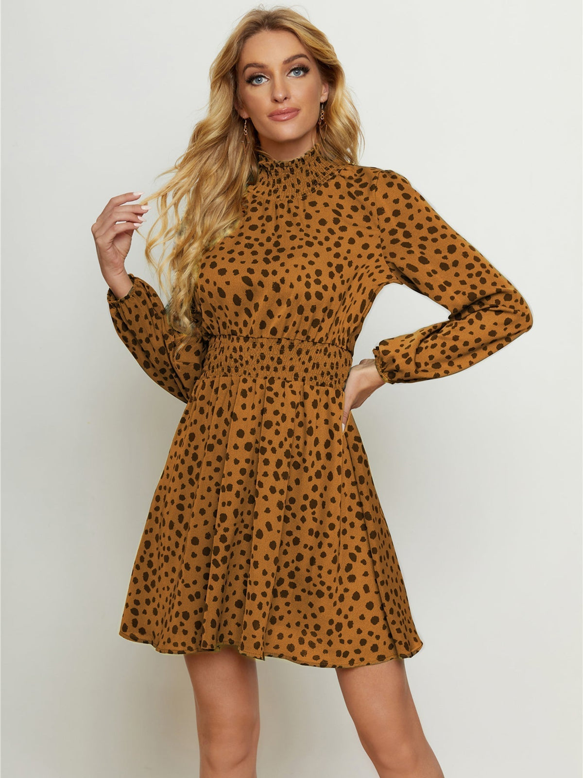 Leopard Print High Neck Long Sleeve A-Line Mini Dress