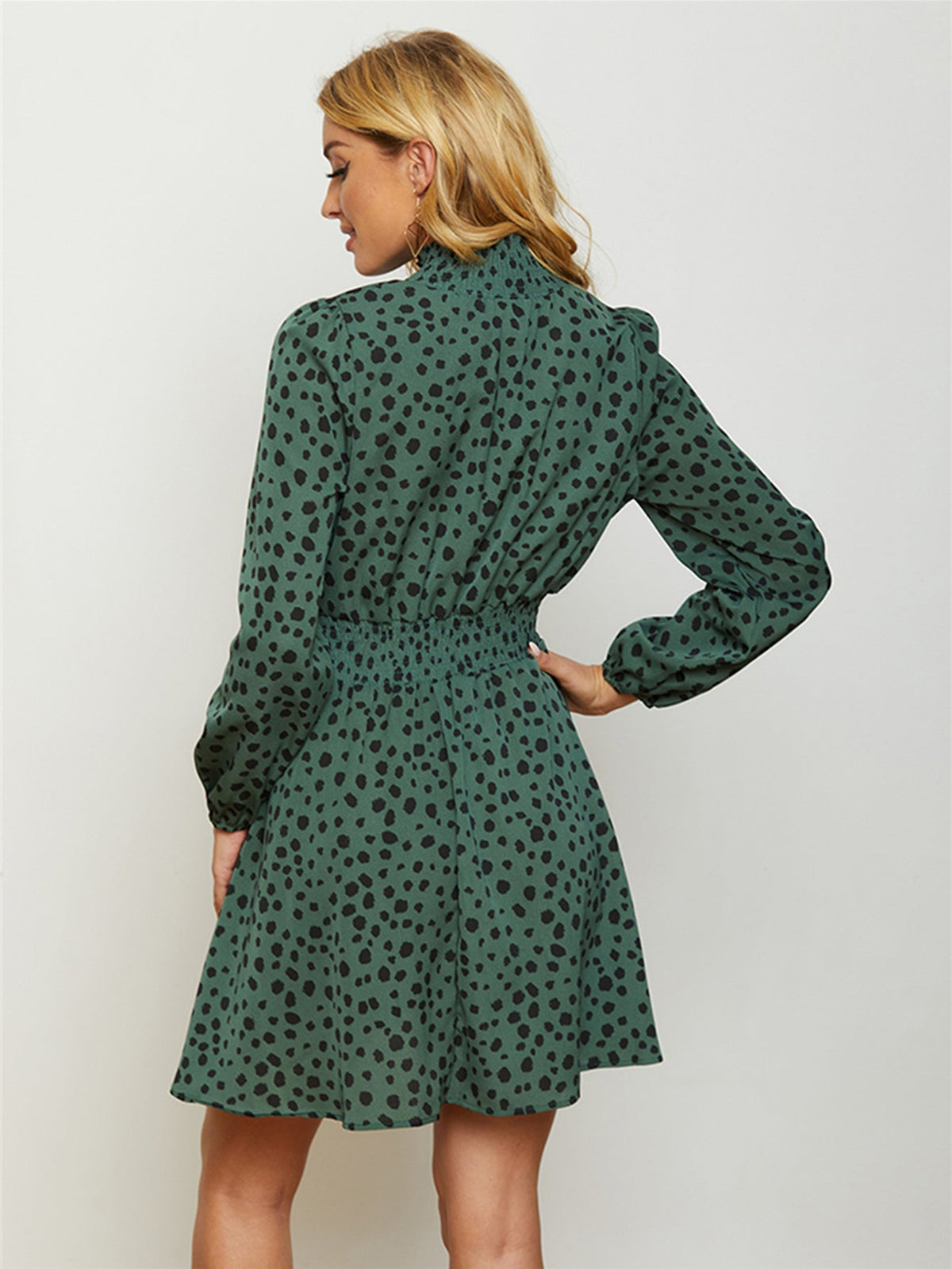 Leopard Print High Neck Long Sleeve A-Line Mini Dress
