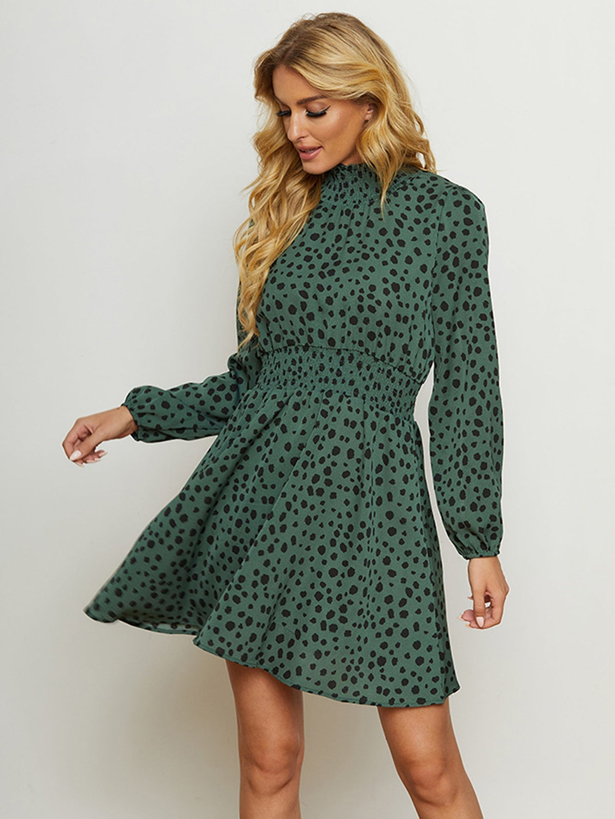 Leopard Print High Neck Long Sleeve A-Line Mini Dress