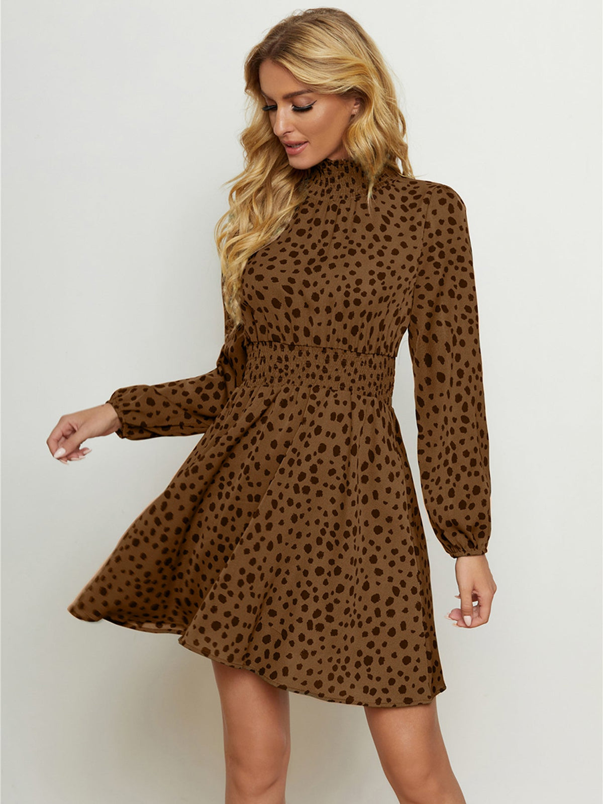 Leopard Print High Neck Long Sleeve A-Line Mini Dress