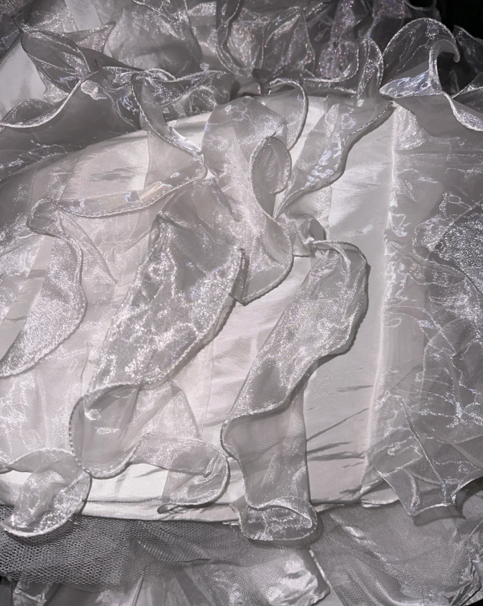 Classy Strapless Organza Pleated Mermaid Evening Dress Long Birthday Party Dress D1430