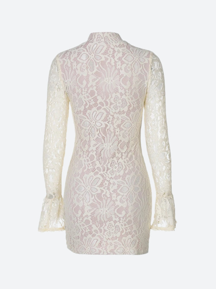 Lace Cut Out Mini Dress - View 3