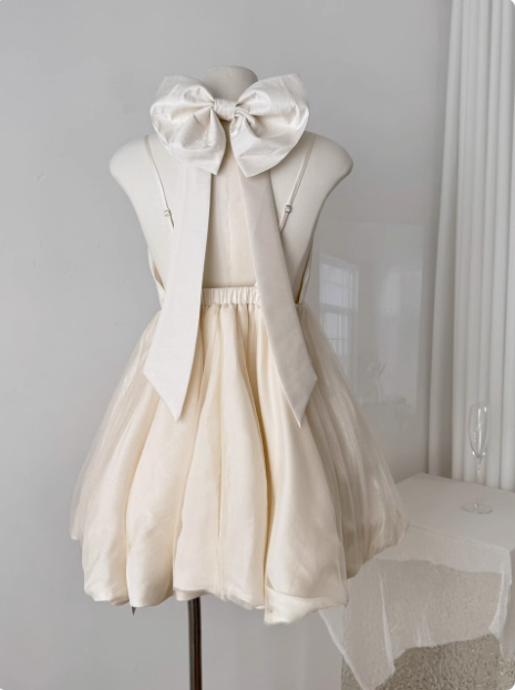 Princess Bowknot Halter Neck Sling Waist Net Tulle Puffy Birthday Party Dress Homecoming Dress P3829