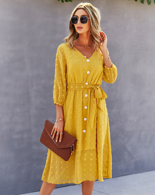 Swiss Dot V-Neck Button Front Belted Midi Dress 4