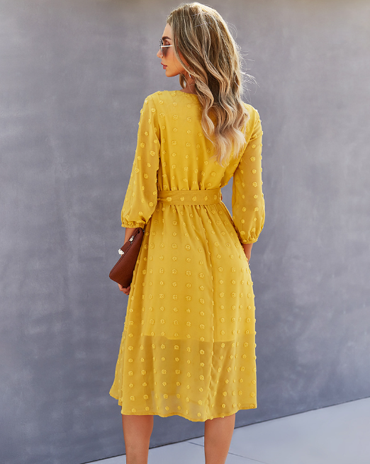 Swiss Dot V-Neck Button Front Belted Midi Dress 7
