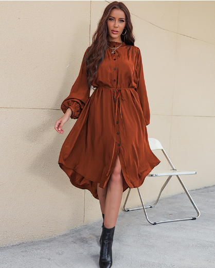 Slim Single-Breasted Shirt Dress 3