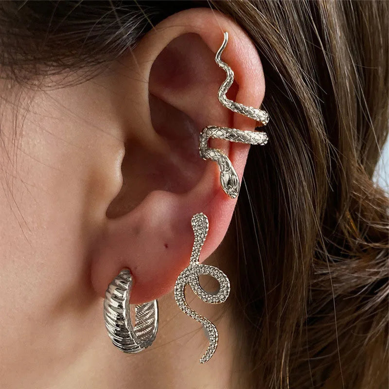 Snake Form Silver Hip Hop Stud Earring