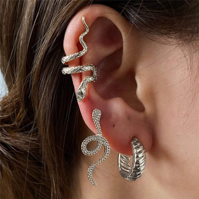 Snake Form Silver Hip Hop Stud Earring