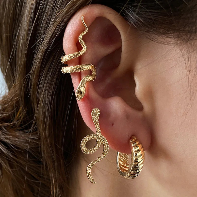 Snake Form Silver Hip Hop Stud Earring