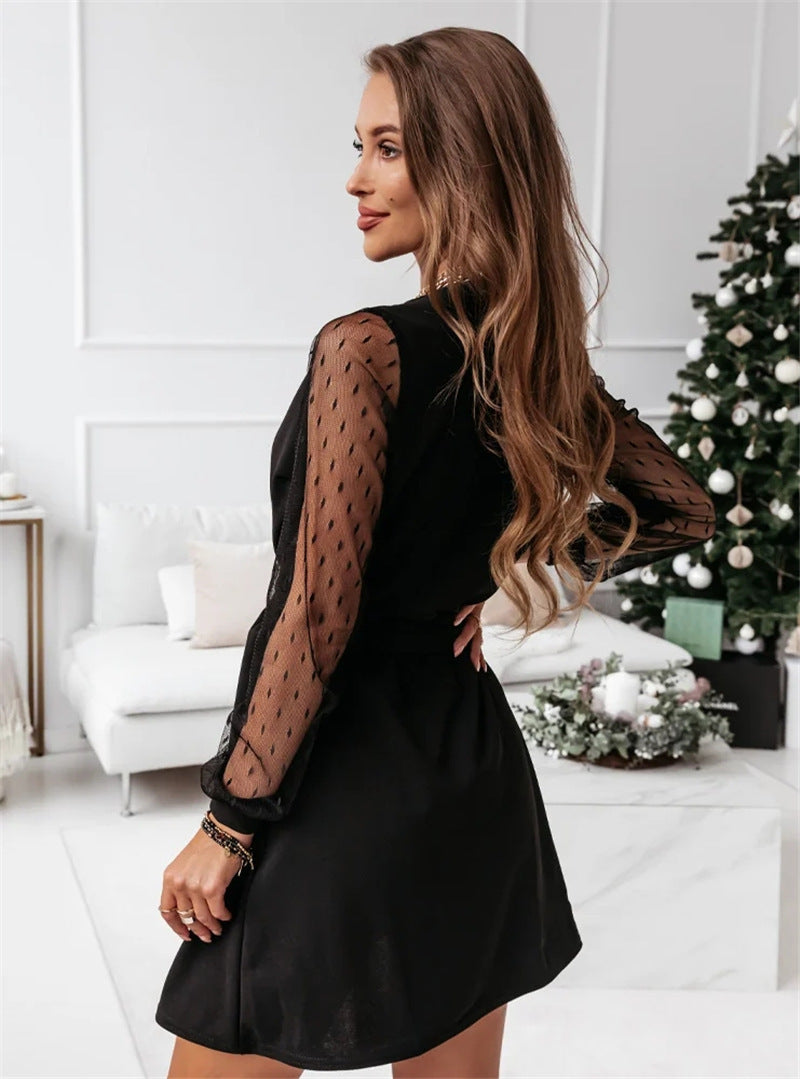 Mesh Long Sleeve Dot Texture Crew Neck Fit and Flare Mini Dress