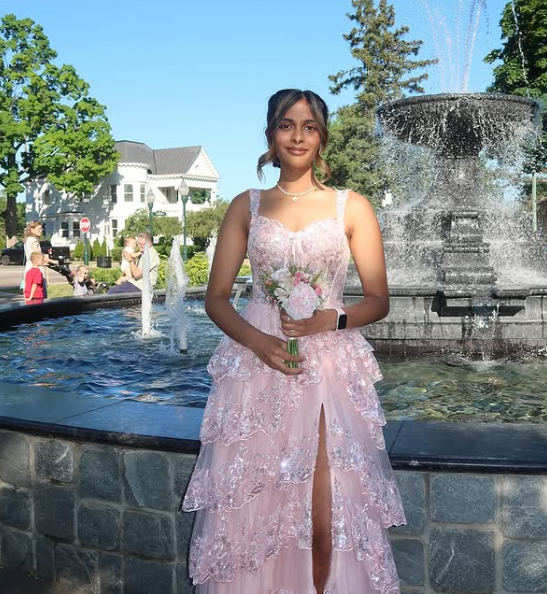 Pretty A-Line Straps Blush Pink Lace Long Prom Dresses Formal Evening Dress SD2203