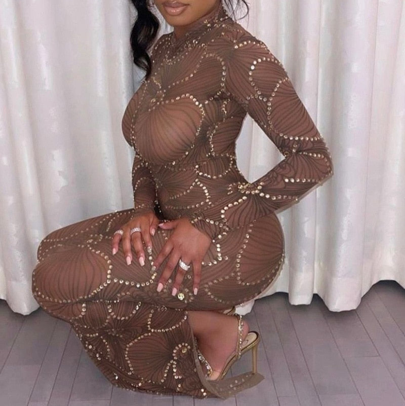 Embellished High Neck Long Sleeve Bodycon Maxi Dress