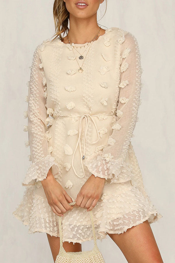 Scoop Applique Ruffled Mini Dress