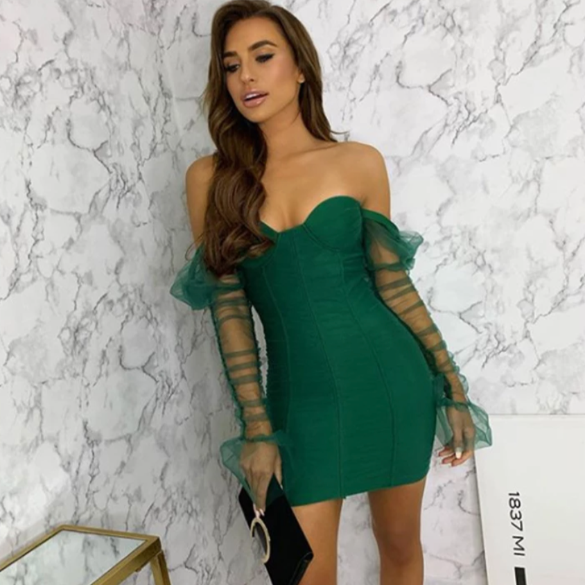 Arletta Sexy Mesh Puff Sleeve Dress