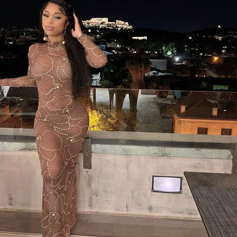 Embellished Mesh Long Sleeve Bodycon Maxi Dress 17