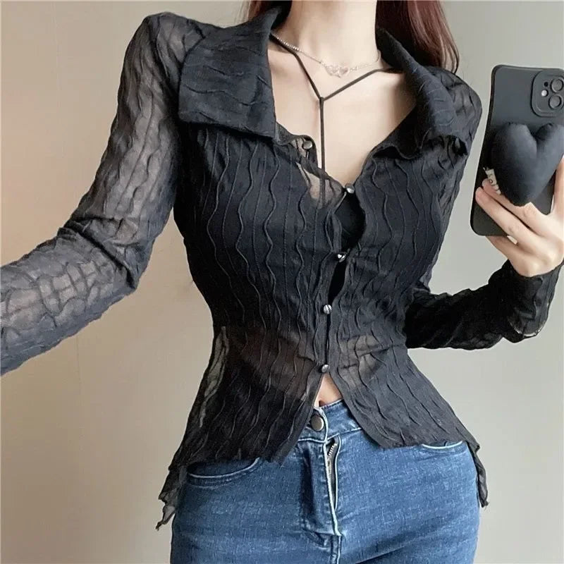 See Through Long Sleeve Turn-down Collar Blouse