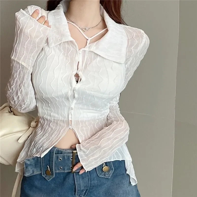 See Through Long Sleeve Turn-down Collar Blouse