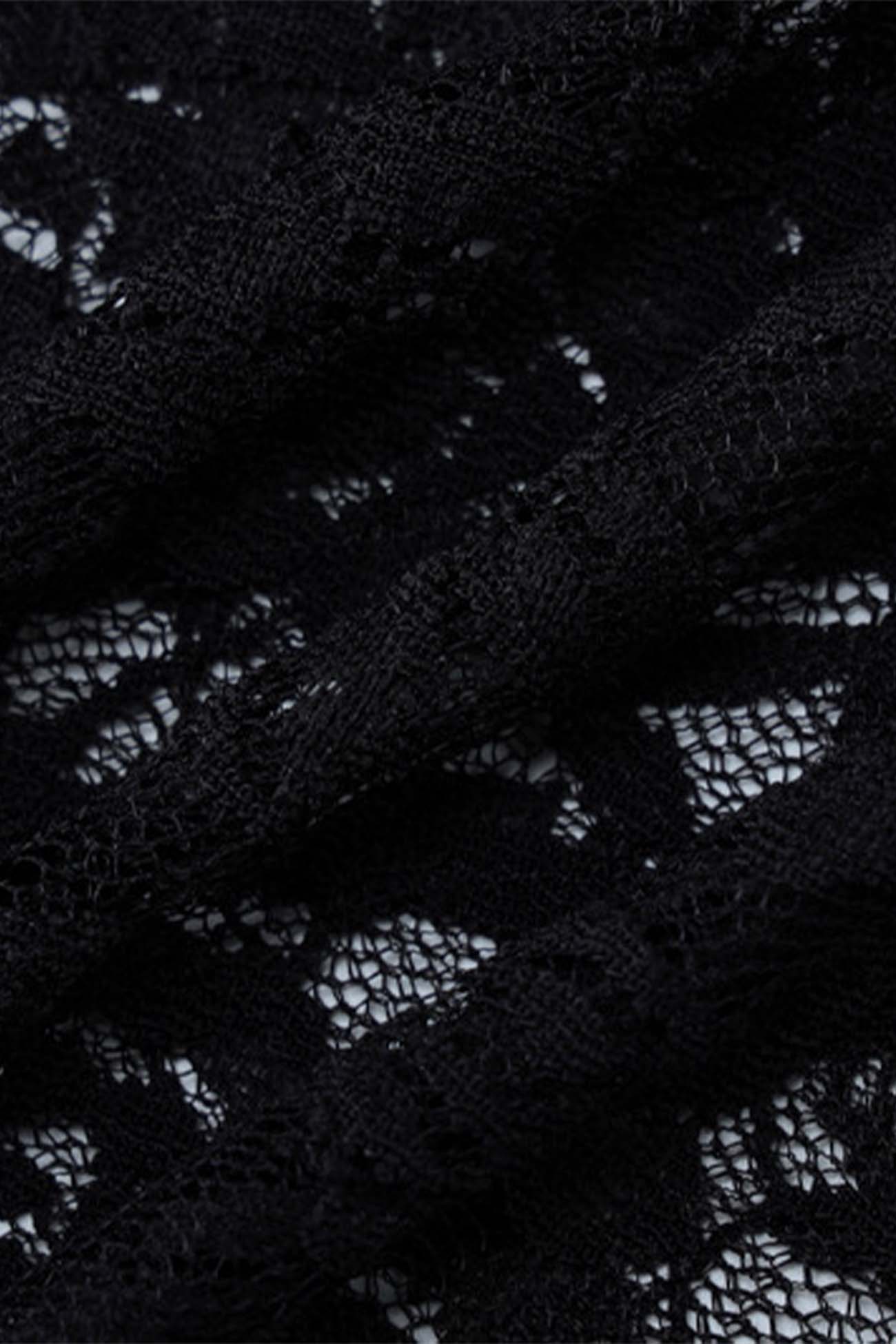 Sheer Lace Long Sleeve Maxi Dress