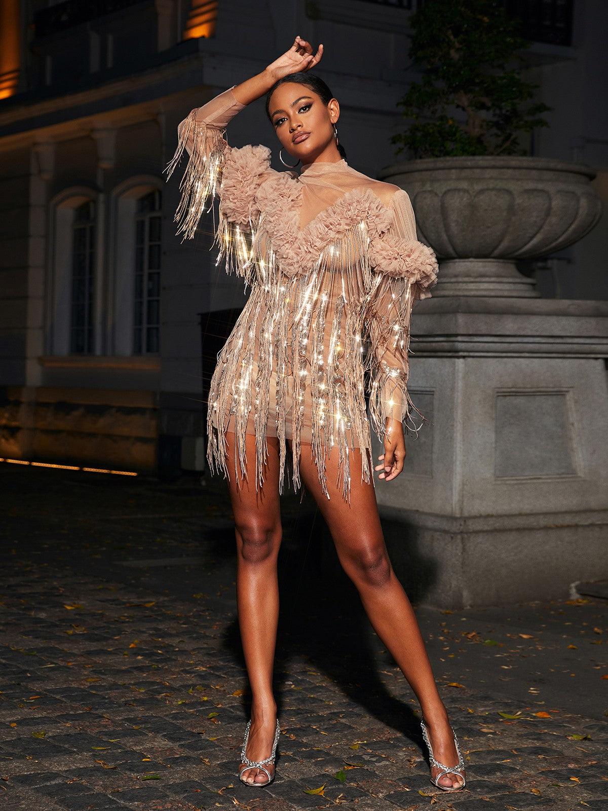 Sequin Fringe Long Sleeve Sheer Mesh Mini Dress 3