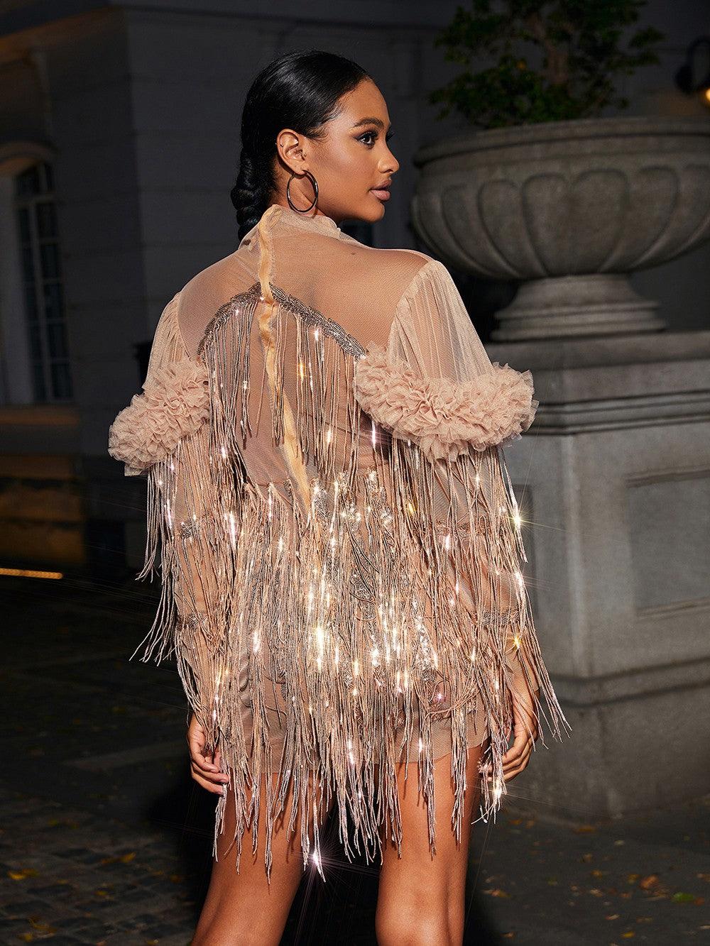 Sequin Fringe Long Sleeve Sheer Mesh Mini Dress 5