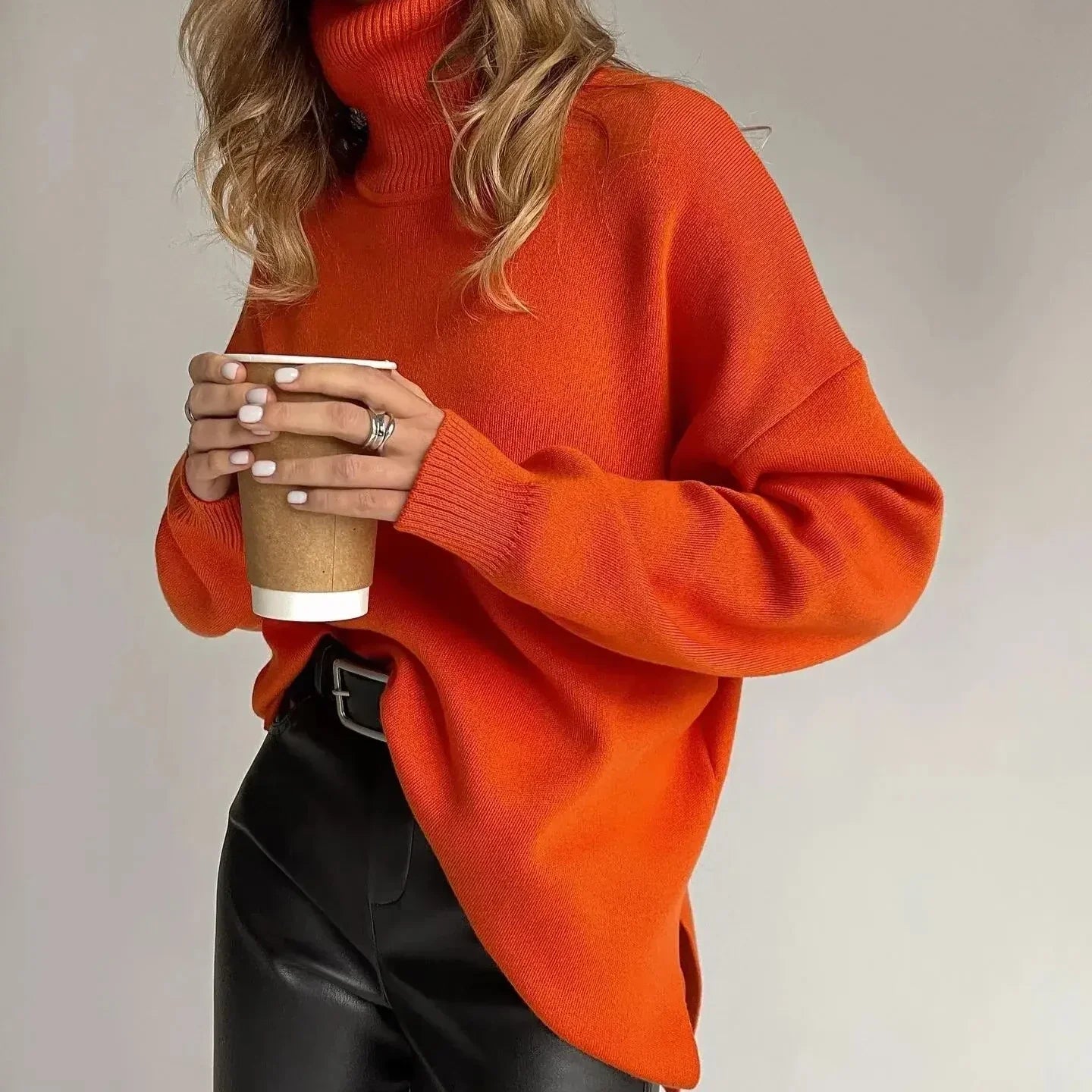 Colorblock  Turtleneck  Thick Sweater