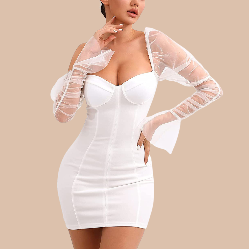 Arletta Sexy Mesh Puff Sleeve Dress