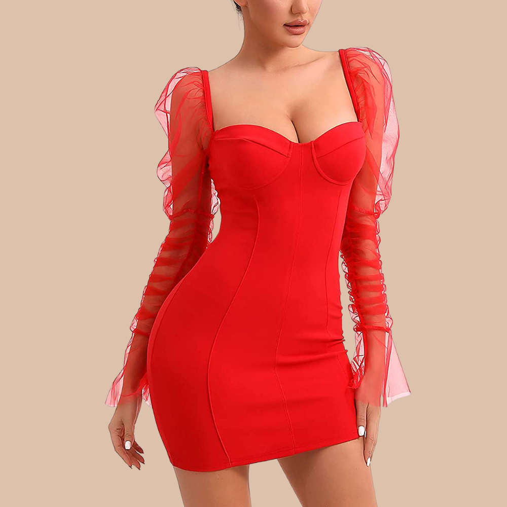 Arletta Sexy Mesh Puff Sleeve Dress