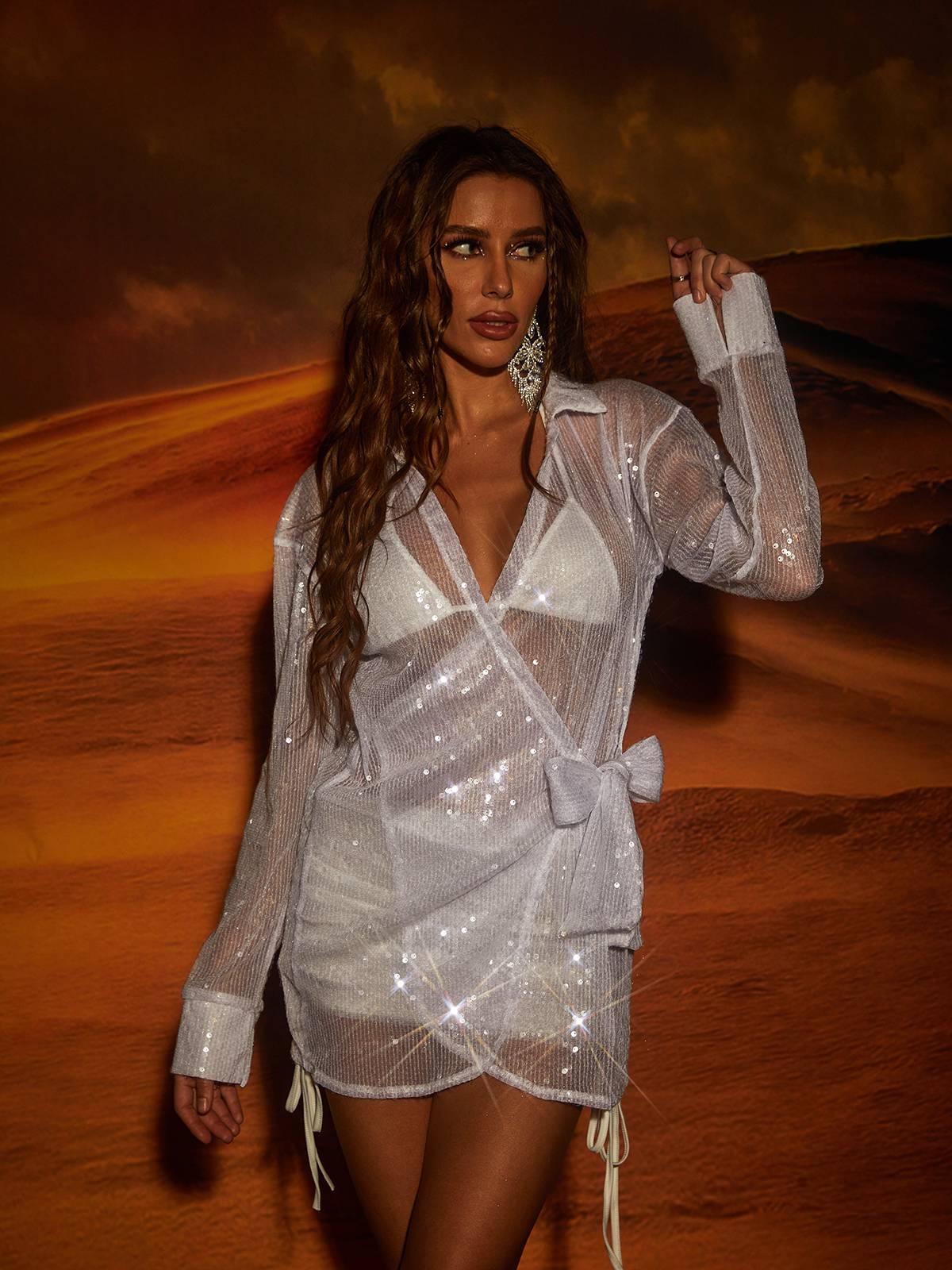Winsome Sequin Mesh Mini Dress