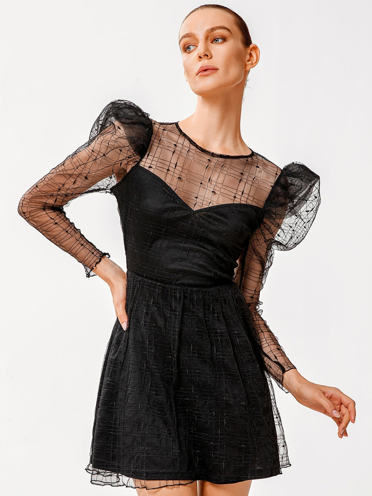 KittenAlarm - Women Fashion See Through sexy butterfly dot embroidery lace dress short skirt Gigot sleeve dress