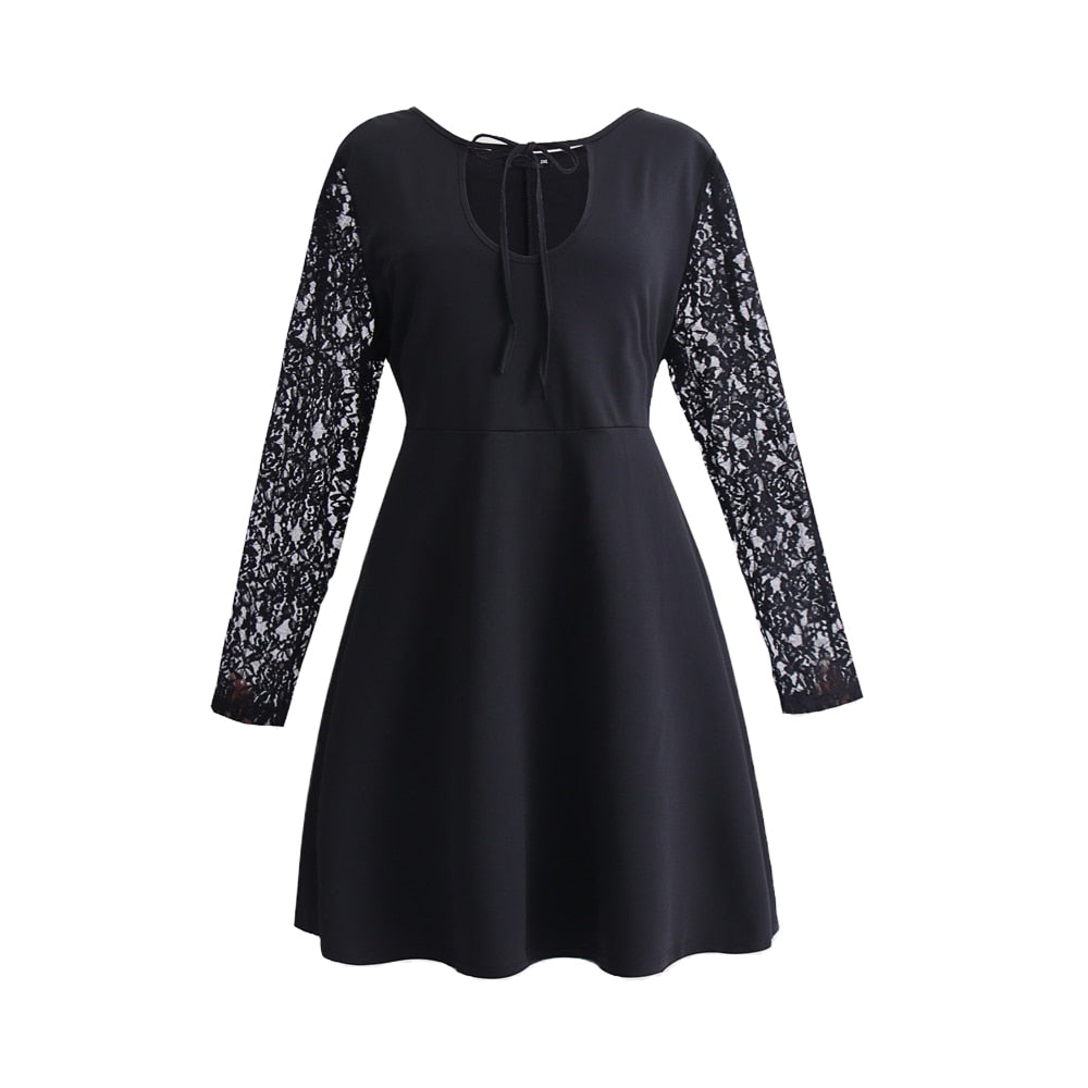 Sheer Lace Long Sleeve Tie-Neck A-Line Mini Dress 4