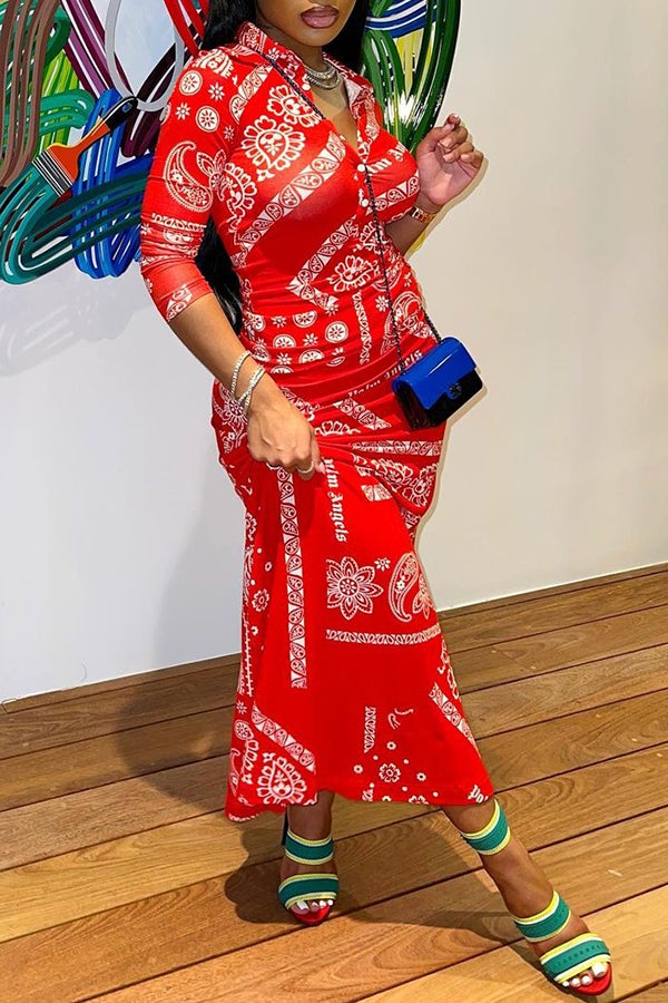 Buttoned Shirt Collar Paisley Print Maxi Dress Fashionpara