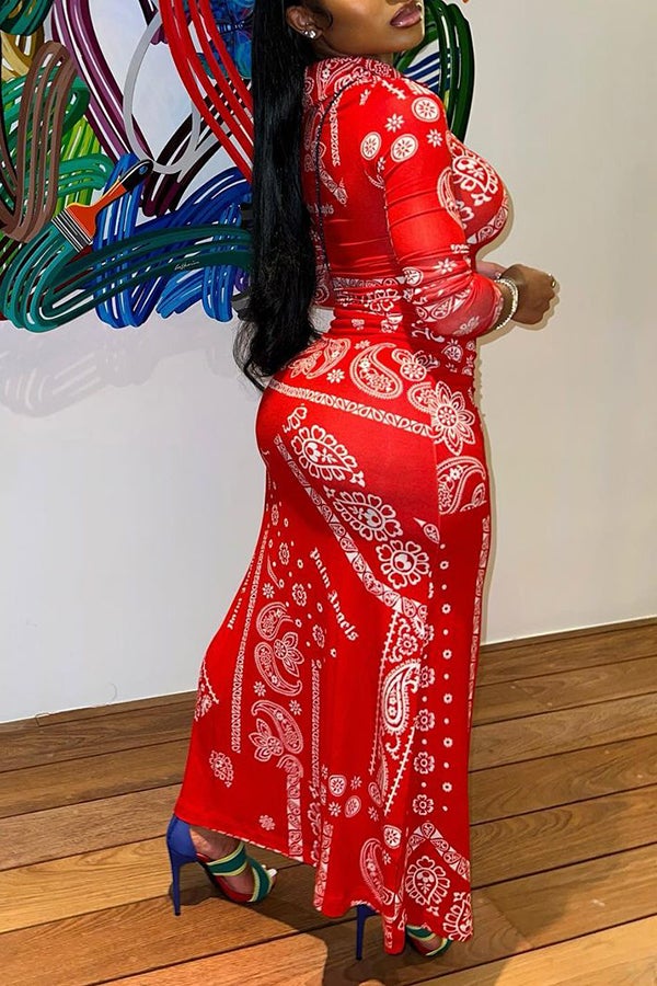 Buttoned Shirt Collar Paisley Print Maxi Dress Fashionpara