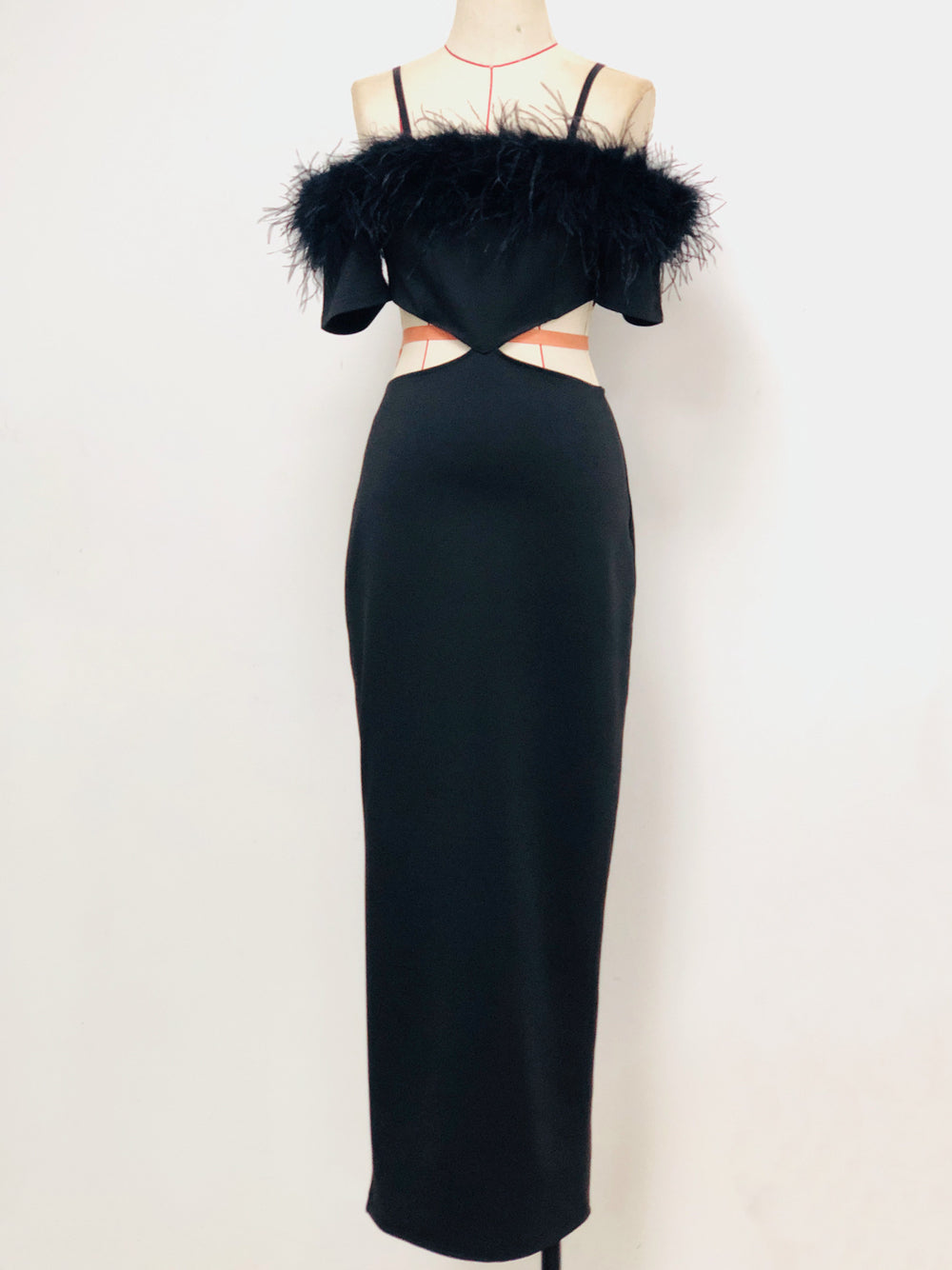 UDA Maxi Dress w Feathers