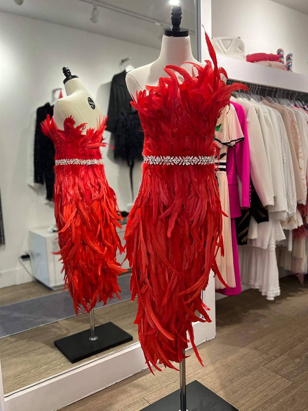 OPERA Feathers Dress