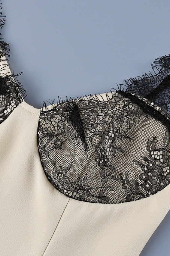 Lace Bustier Lace Trim A-Line Mini Dress