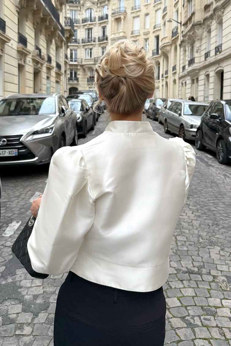 Mandarin Collar Puff Sleeve Blouse