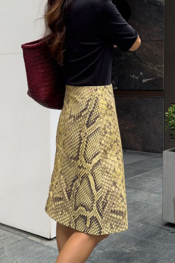 Snake Print High-Waist A-Line Skirt