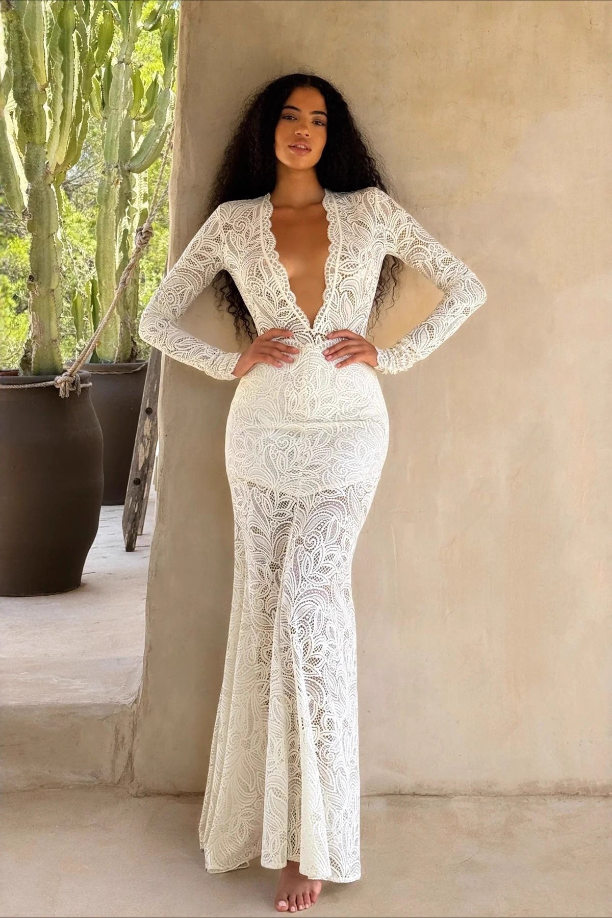 Lace V-Neck Long Sleeve Mermaid Gown