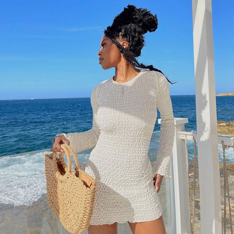 Textured Smocked Crew Neck Long Sleeve Mini Dress