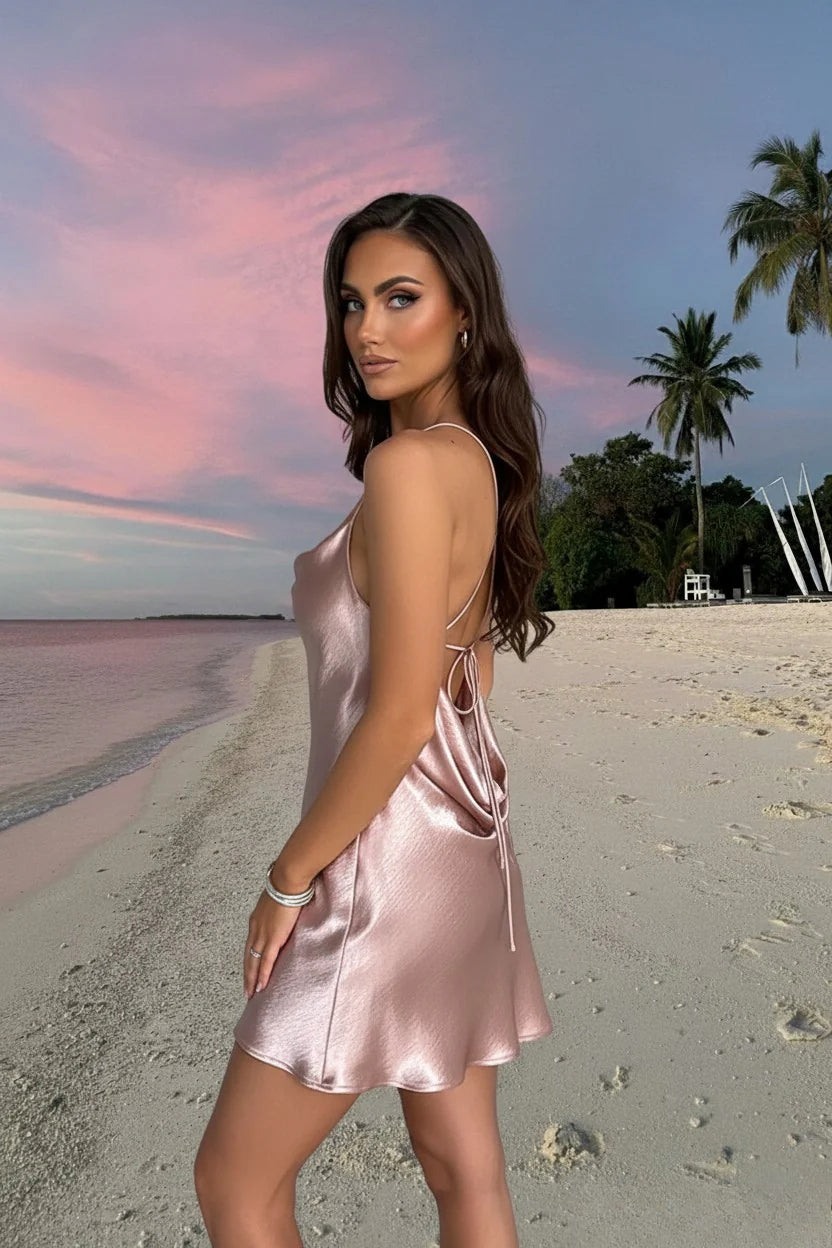 Avianna Elegant Dress