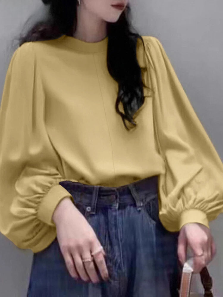 Mesh Lantern Sleeve Blouse Spring Tunic Blouse