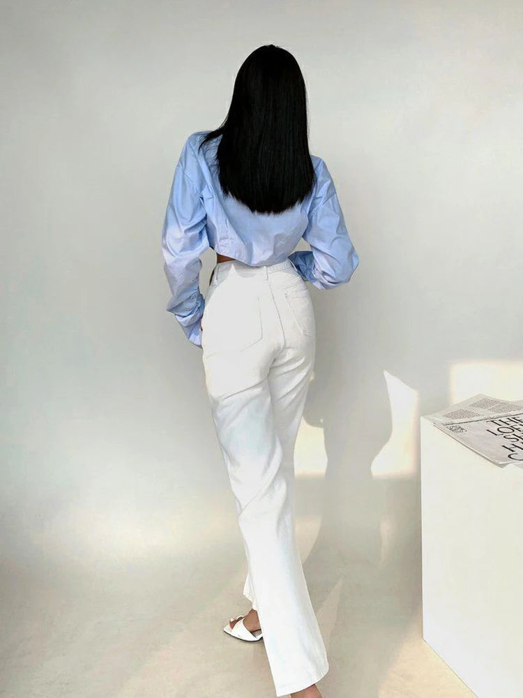 Korean Style Long Sleeve Button Crop Blouse