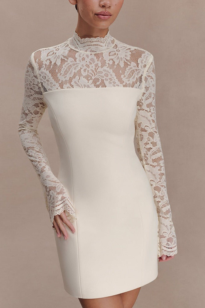 Backless Lace Sheer Mesh Bodycon Dress