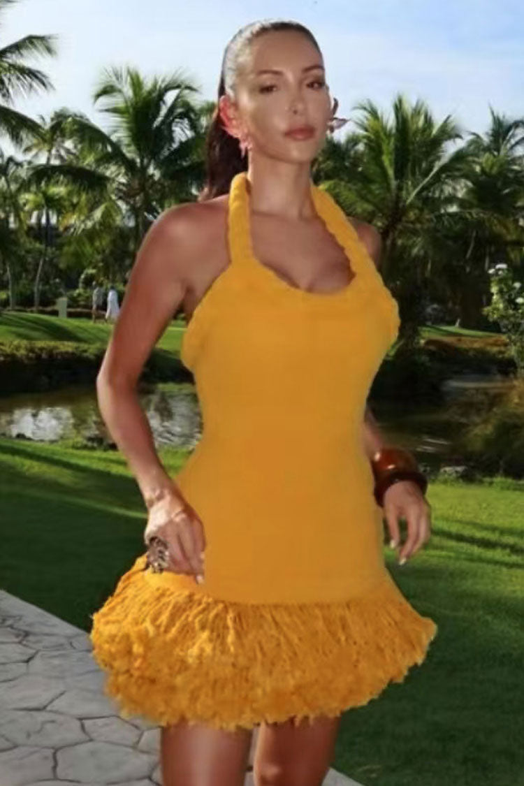 Chic Braided Rope Halter Tie Tassel Hem Bodycon Vacation Mini Dress
